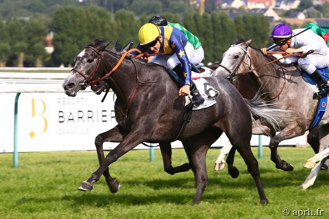 Golden Valentine winning at Deauville