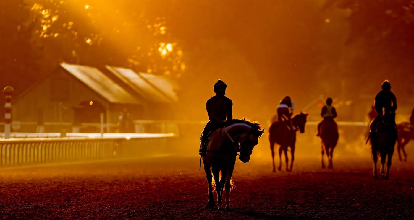 Horses at first light, Saratoga
